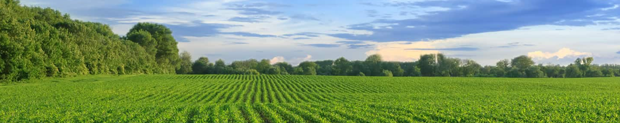 Cover for Raymon Eugene Bruner's Obituary