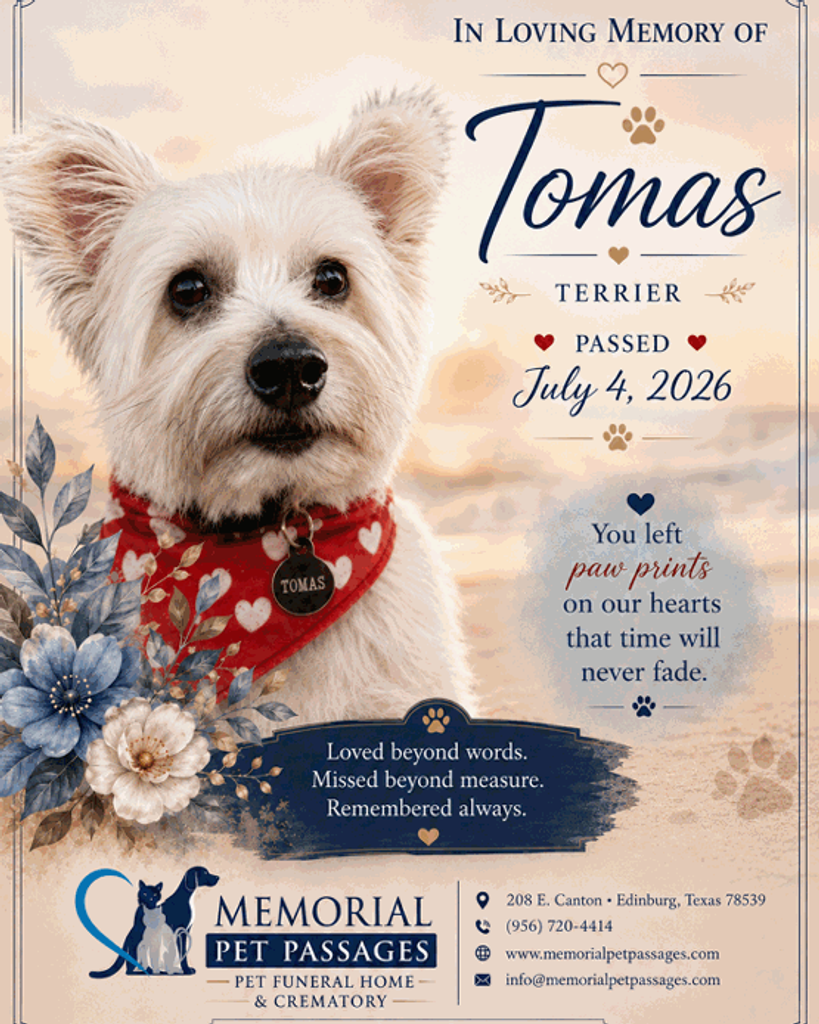 Tomas Profile Photo