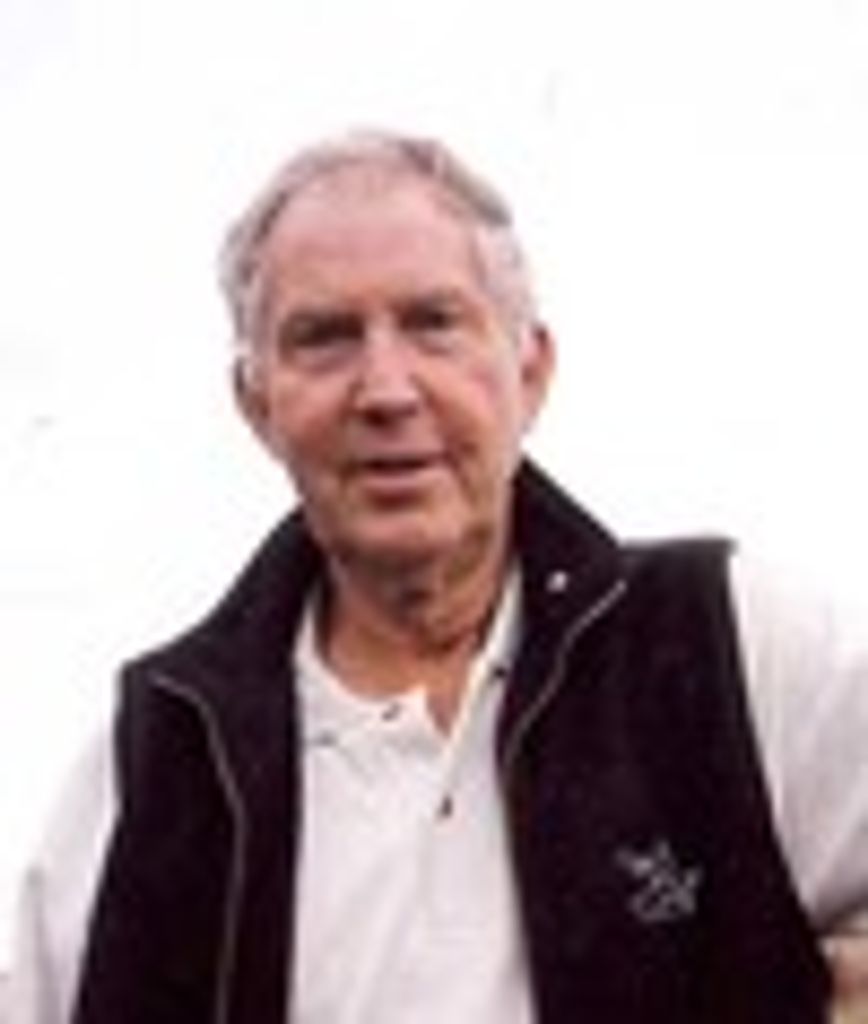 Virgil Escoe Lewis