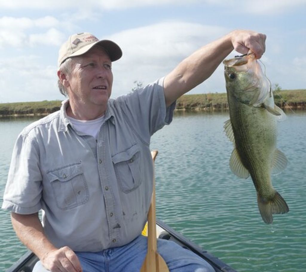 David Buck Stewart Profile Photo
