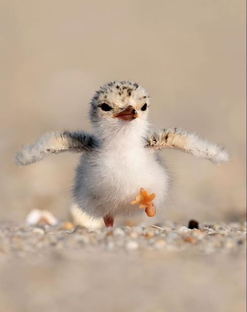 Darlene Martin (Martin)  Miller