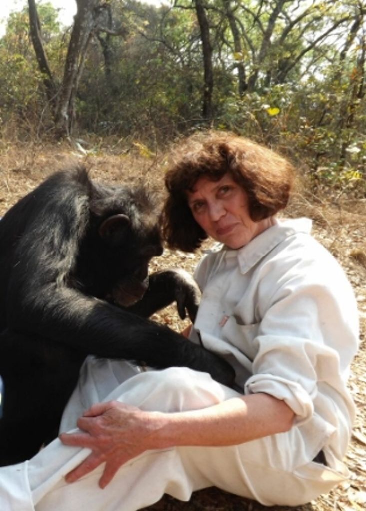 Wendy Taylor Profile Photo