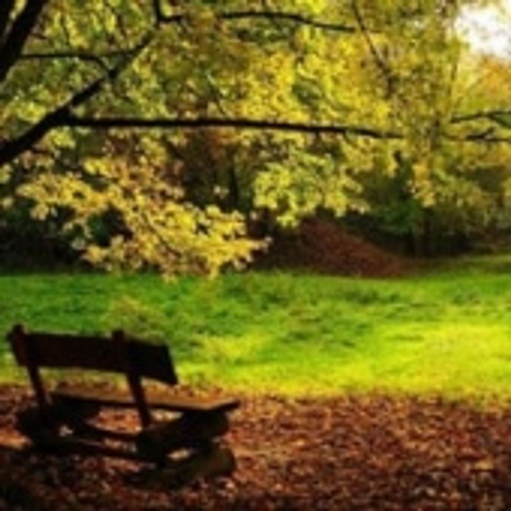 Stanley Wallace Purvis