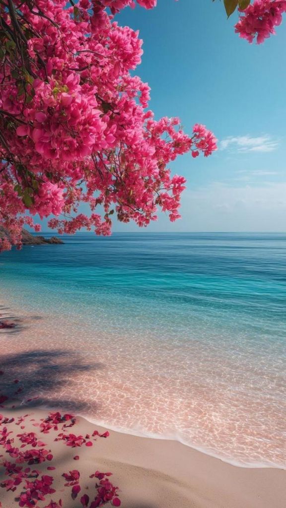 María Esther Quiñones Pérez Profile Photo