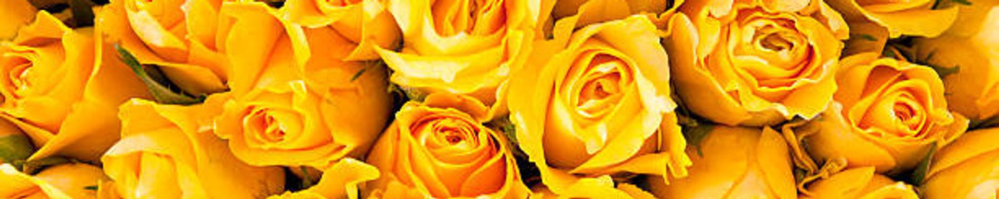 Cover for Barbara Derrick Marshe's Obituary