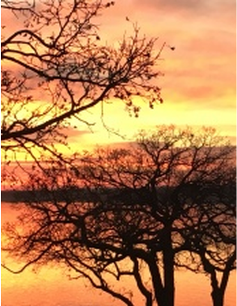 Timothy J. Roznowski