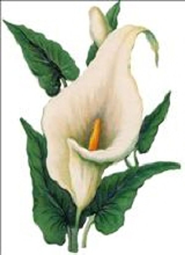 Brenda Joyce Malloy