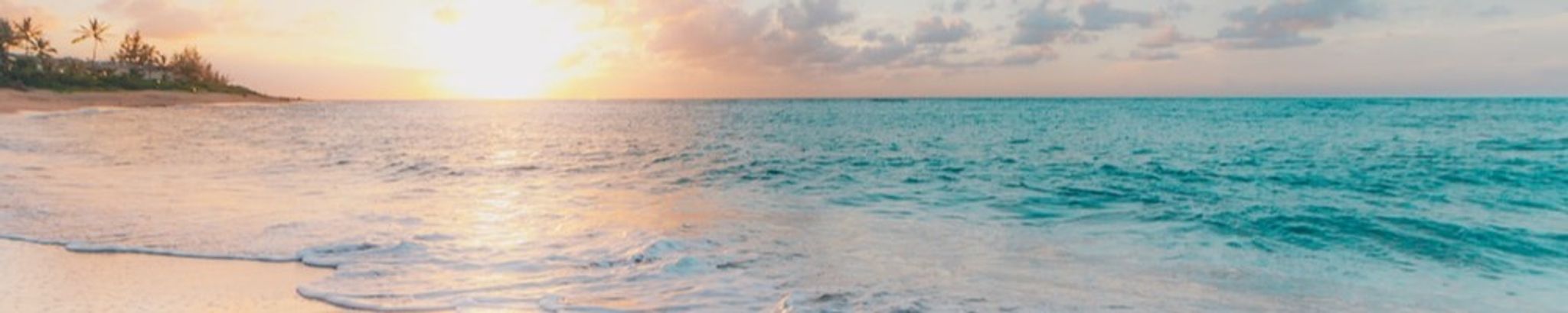 Cover photo for Faye Pope Willoughby's Obituary