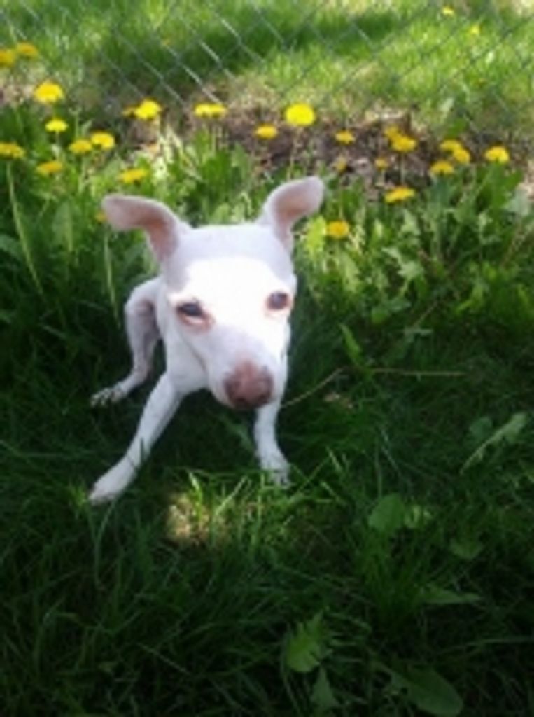 Jayden Spencer Profile Photo