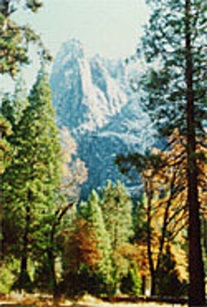 Joseph Michael Hooks