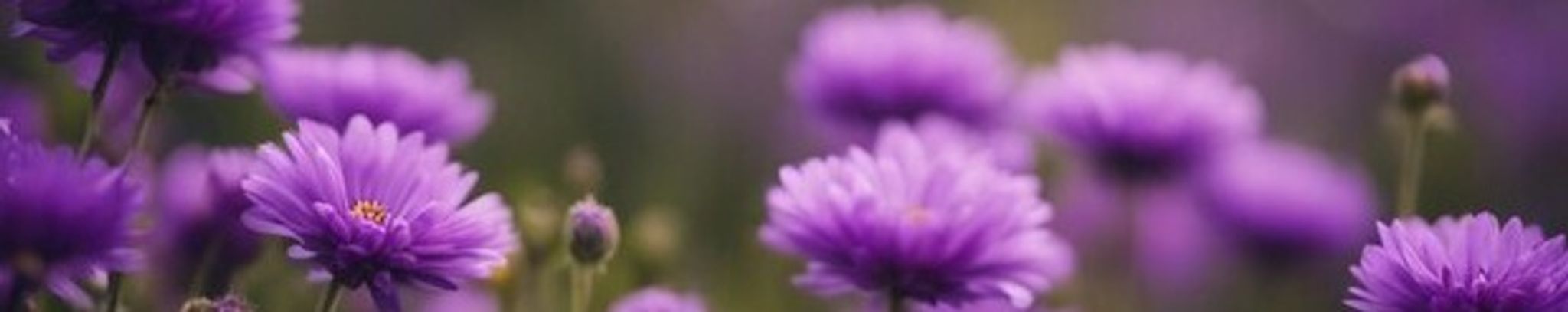 Cover photo for Karyn Michele Shipley's Obituary
