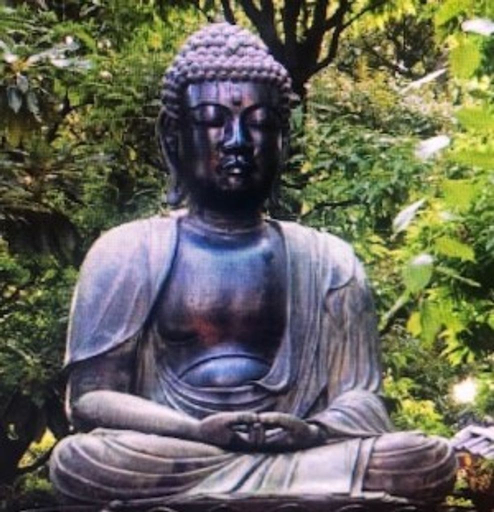 Hinh Van Nguyen Profile Photo