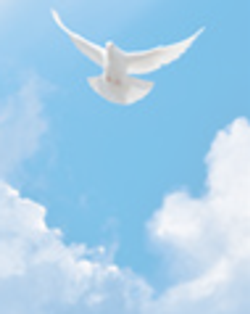 Joel Gideon VanCleave