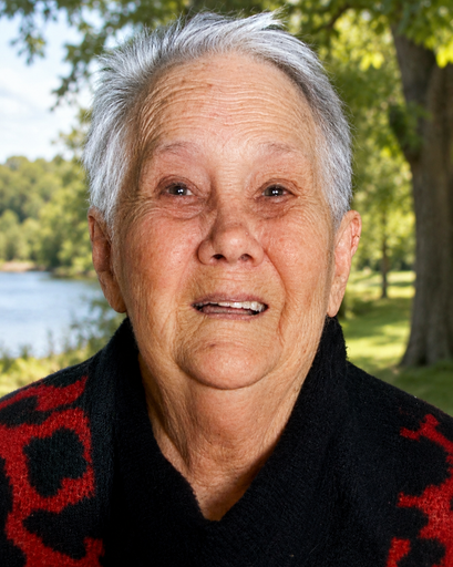 Ann Holmgren's obituary image
