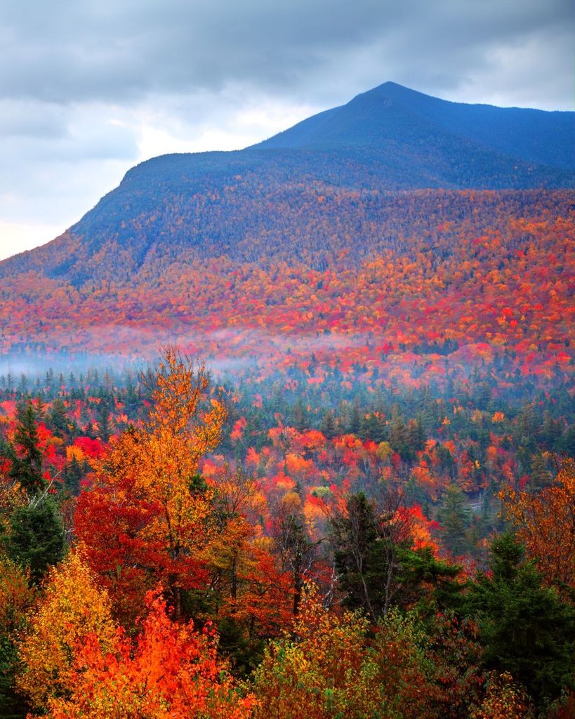 Michael Morrison Profile Photo