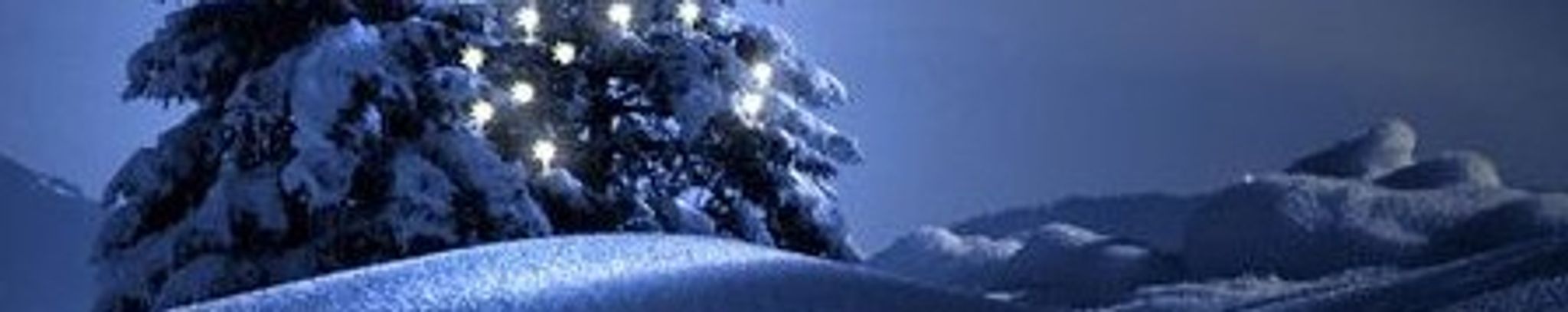 Cover for Christmas Comfort Service's Obituary