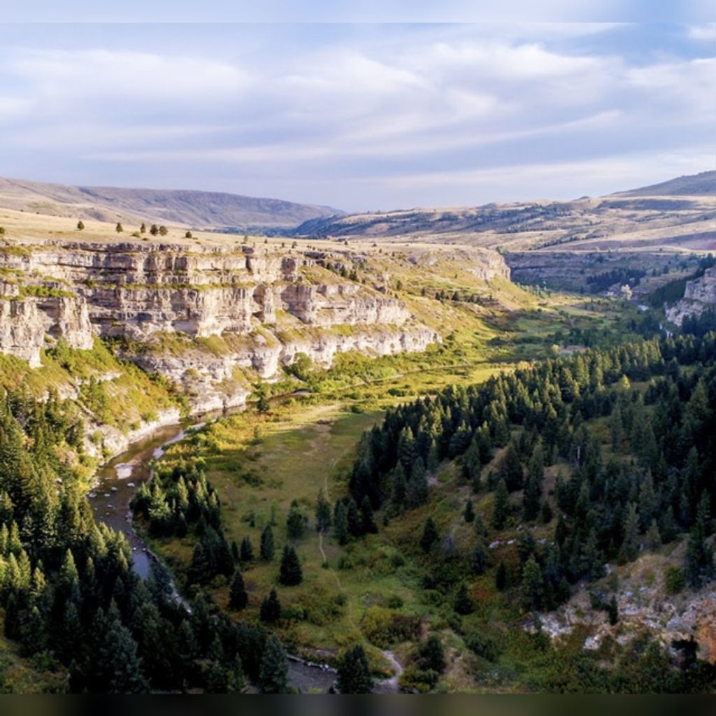 Theodore Michael Sinko