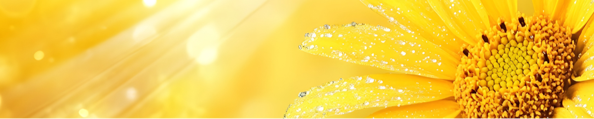 Cover for Janice Yvette Miller Terry's Obituary