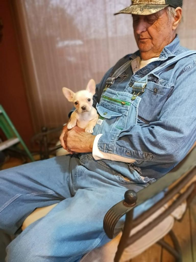 Gordon Treece, Jr. Profile Photo