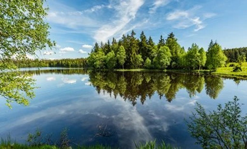 David Thiessen Profile Photo