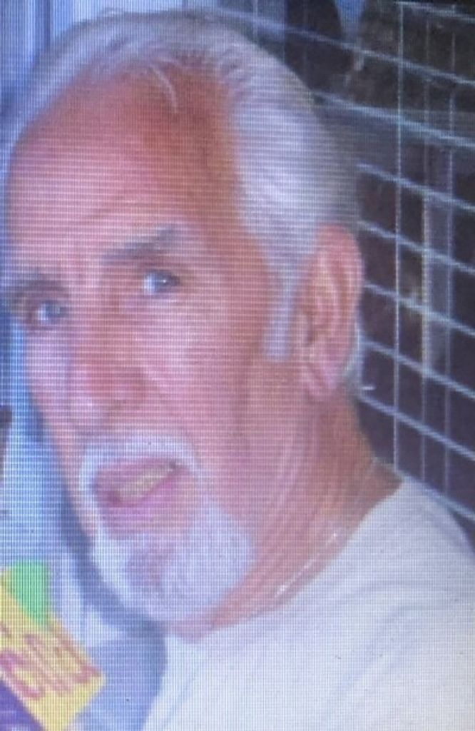 Frank  Allan Johnson