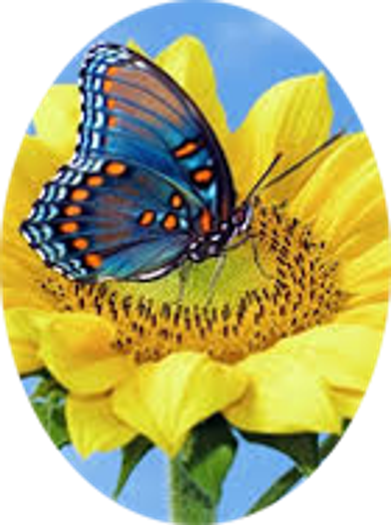 Kathleen Mesler Profile Photo