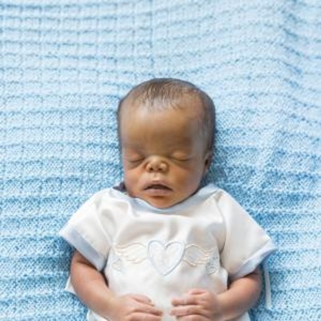 Rashawn L Jackson Jr