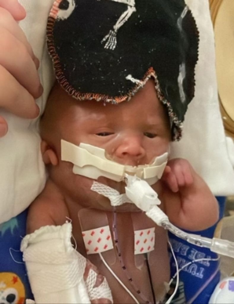 Damon Gow Profile Photo