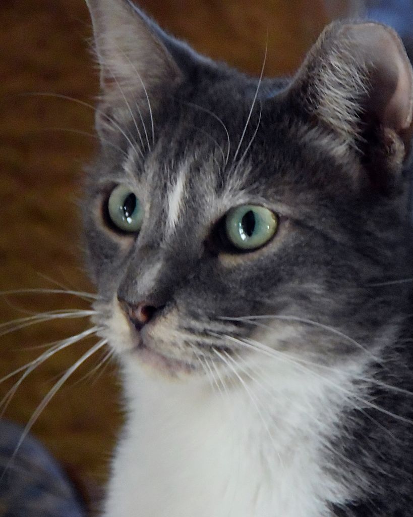 Suggs Anderson - Truett Profile Photo