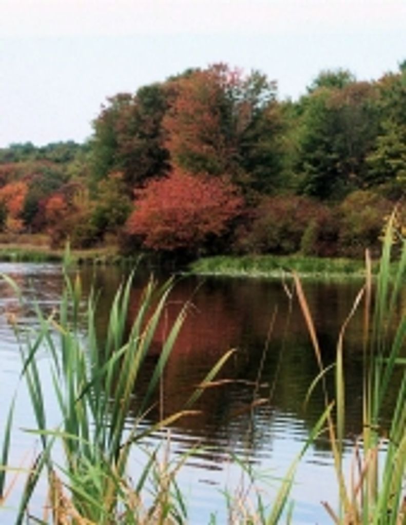 Stanley Eugene  Walker Profile Photo