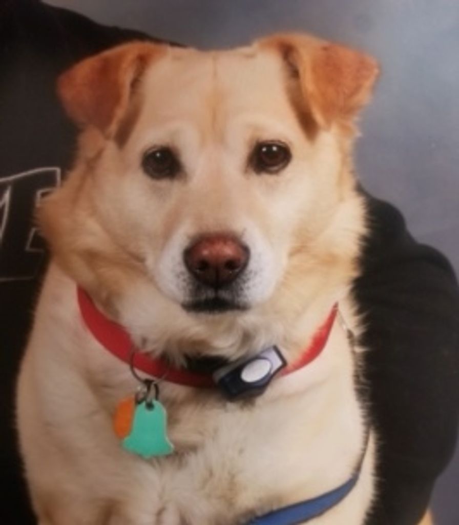 Trevor Ayers Profile Photo