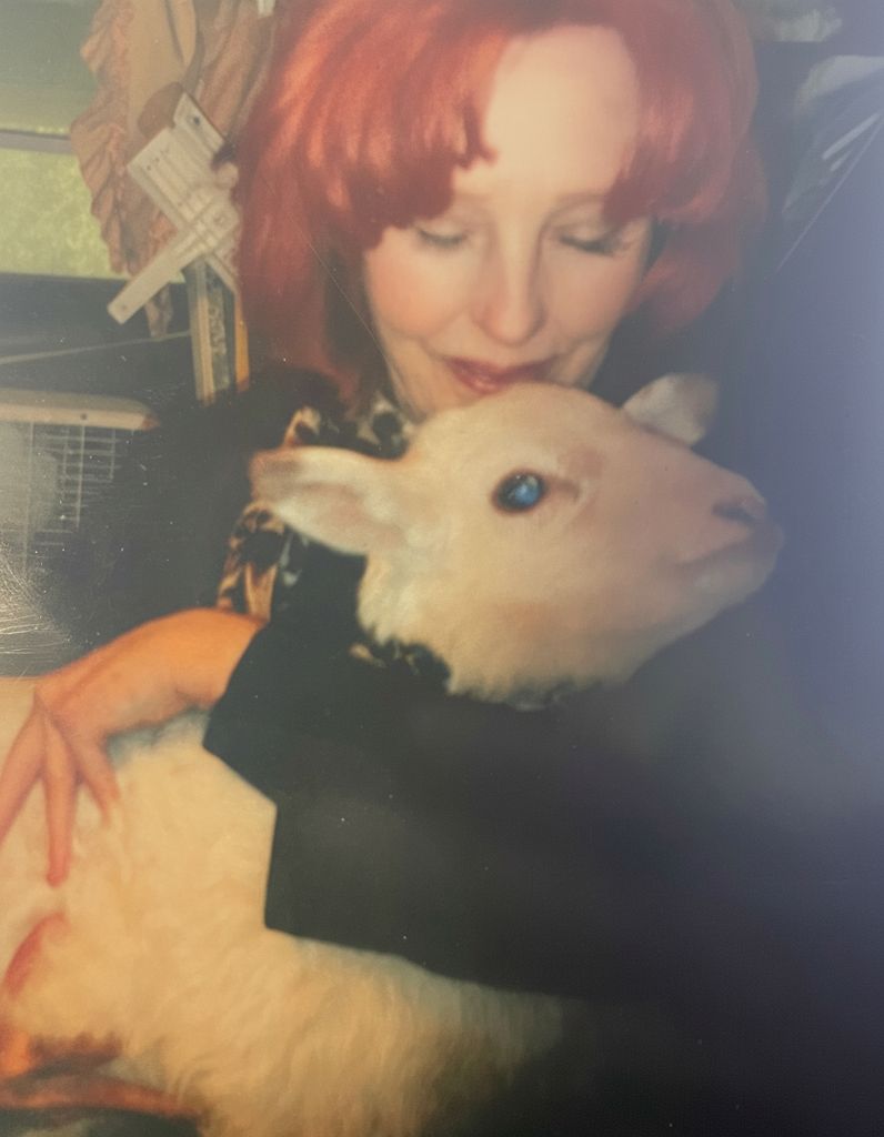 Carol D. Edwards Profile Photo