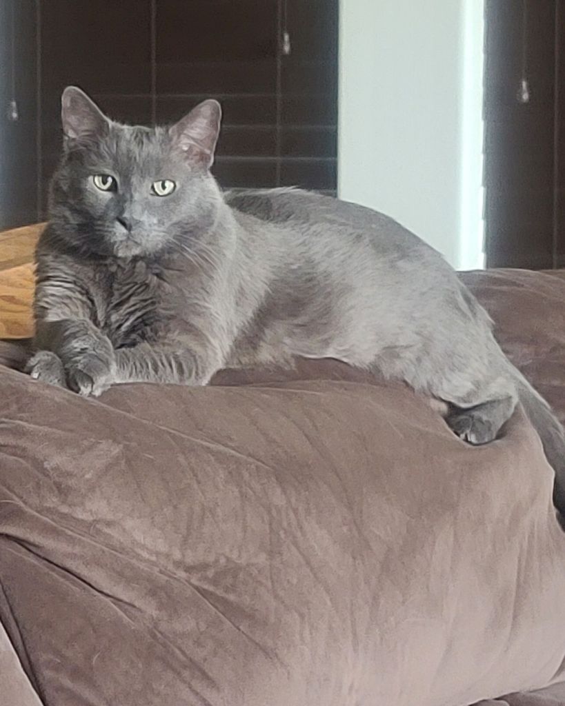 Arkansas Strickland Profile Photo