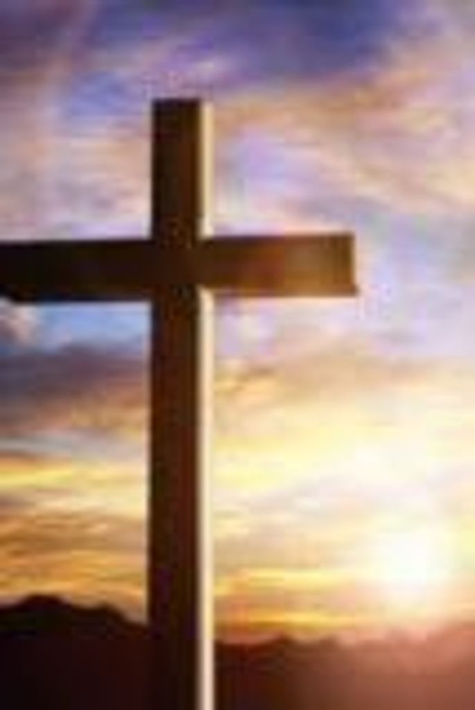 Alfred  Lee Turner  Jr. Profile Photo