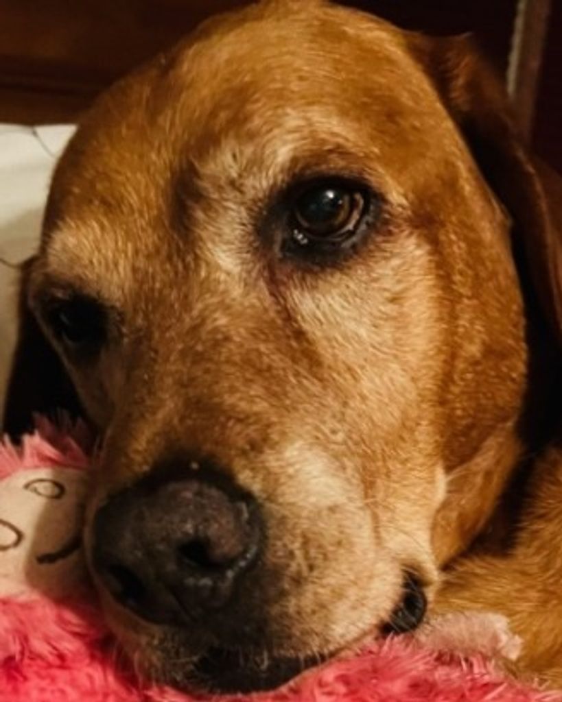 Nala Profile Photo