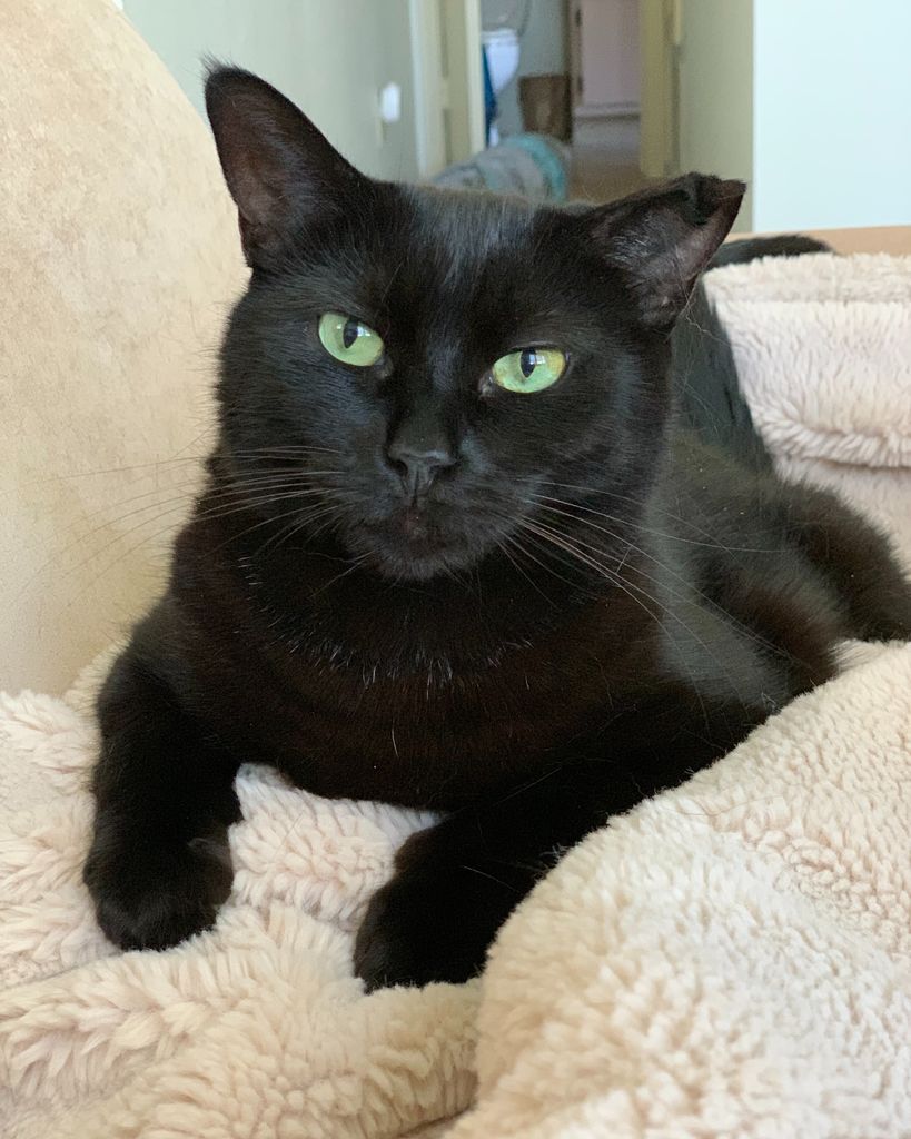 Tuukka Doherty Profile Photo