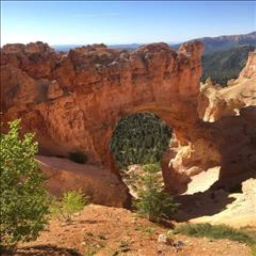 Jack L. Garland Profile Photo