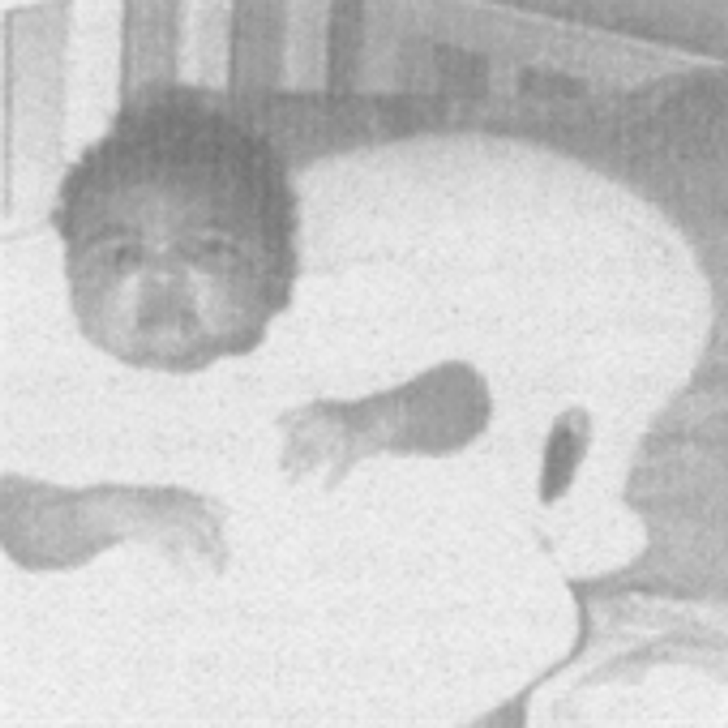 Zy'Ann Michelle Sherie Collier