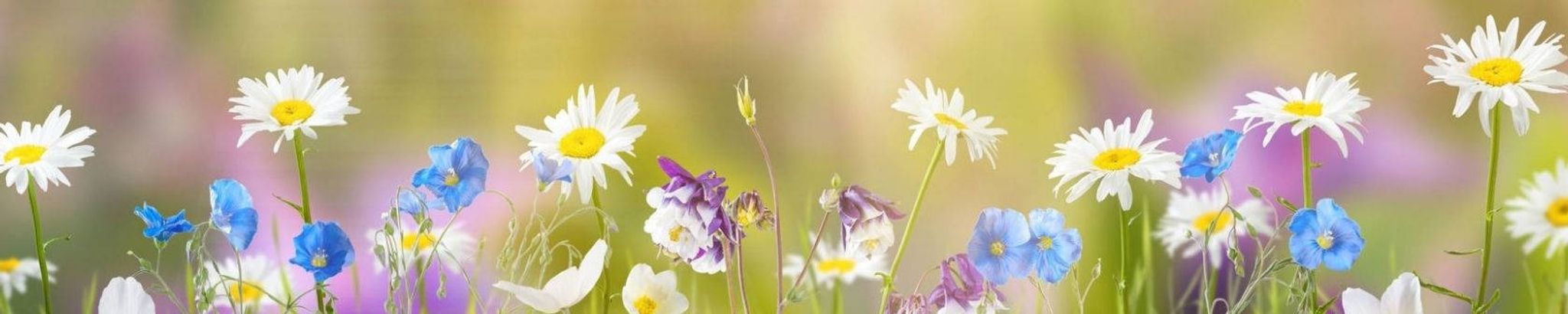 Cover photo for Linda Marie Daniel's Obituary