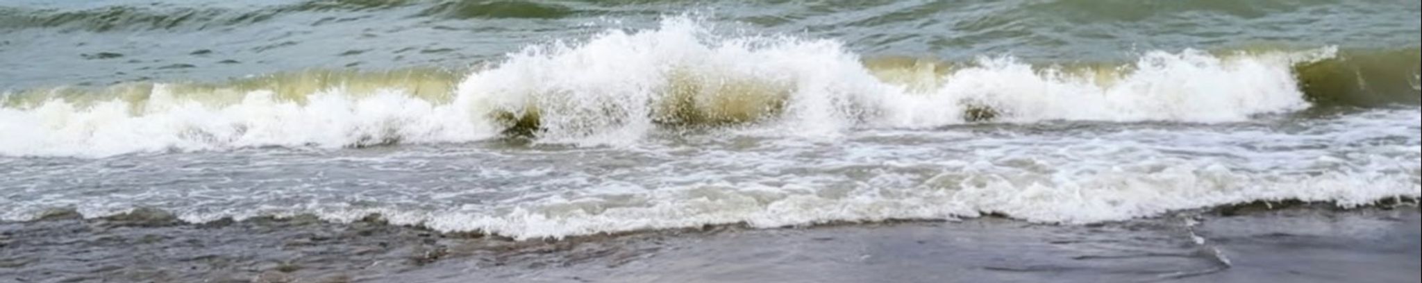 Cover for Sherri Lynn Deveaney's Obituary