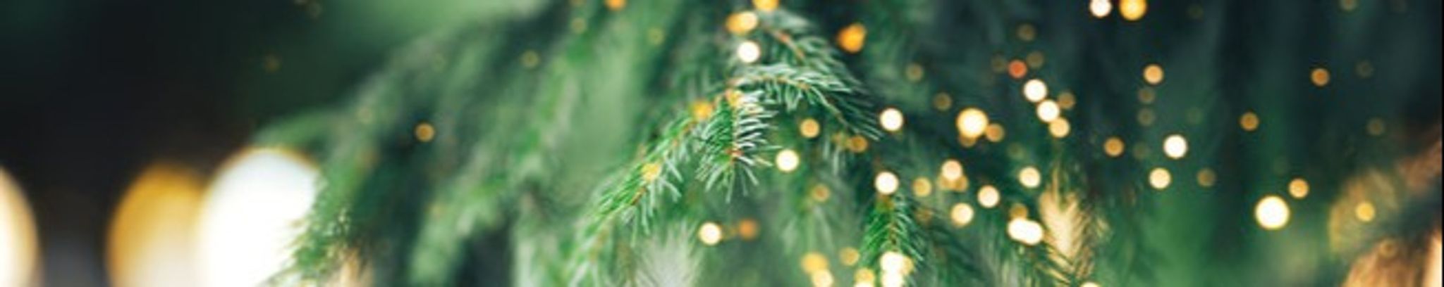 Cover for Michael Thomas McCarthy's Obituary