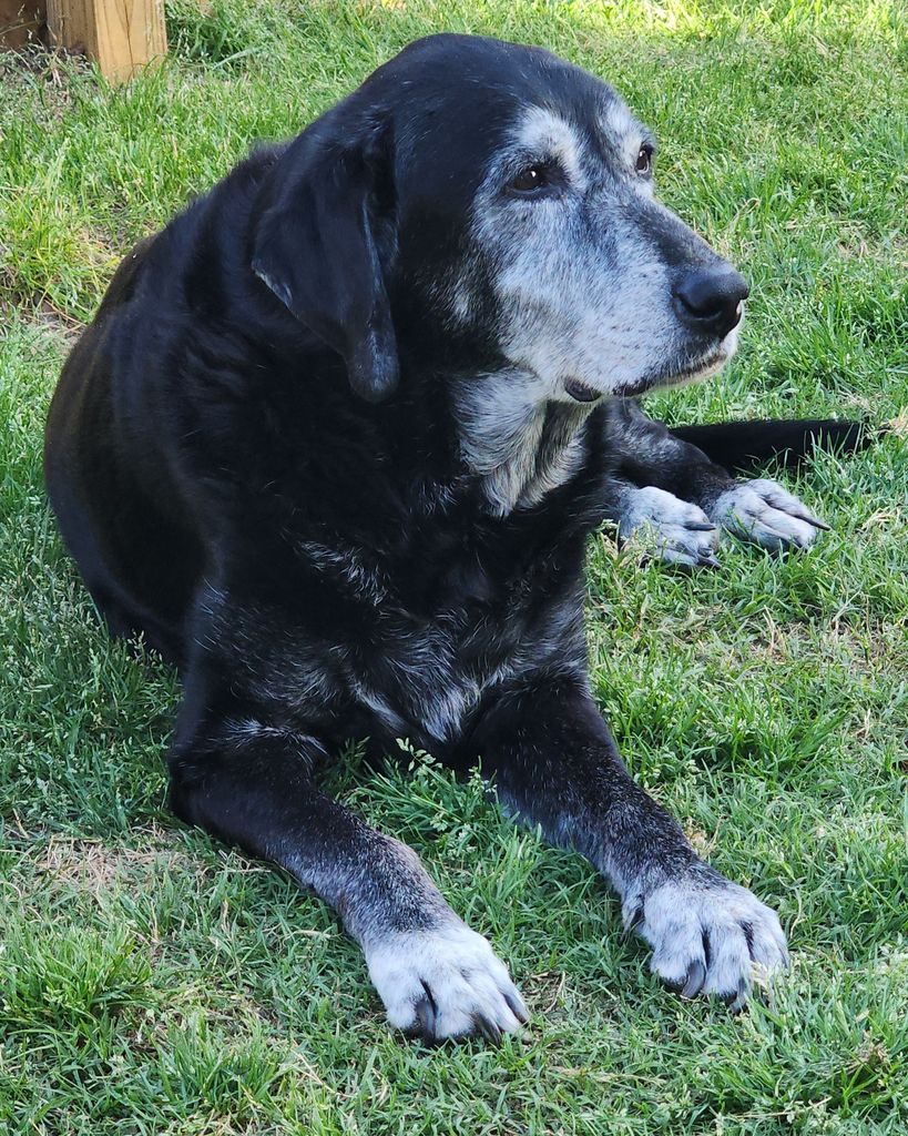 General Phinizy "Phinn" Hull Reese Profile Photo