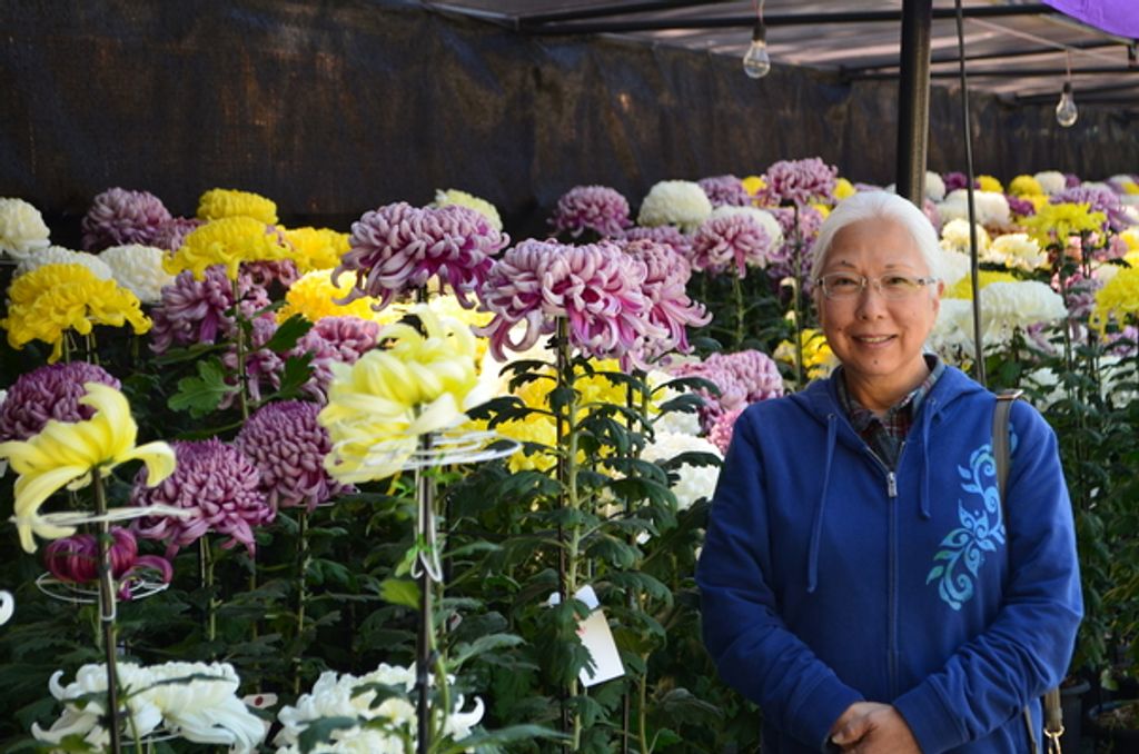 Daphne Naomi Shimoda