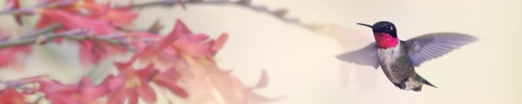 Cover photo for Judith K. Ackerman's Obituary