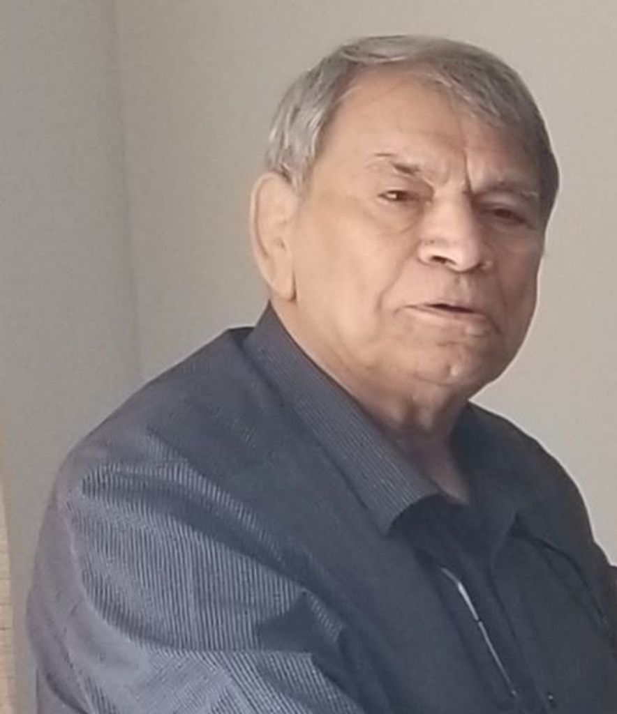 Reza Zeinalibaghini Profile Photo