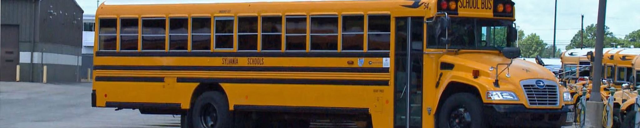 Cover for Dorothy Mehki's Obituary