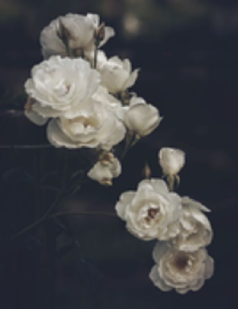 Alfred Julian Tyler Logan