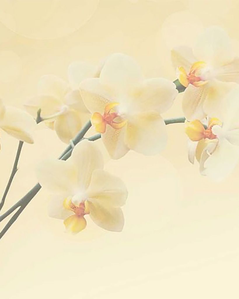 Zahra Nakhjavani Profile Photo