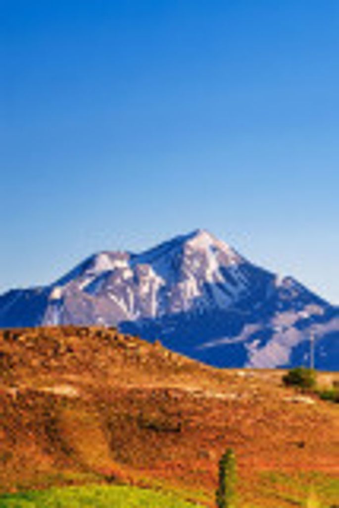 Lawrence Alexander Profile Photo