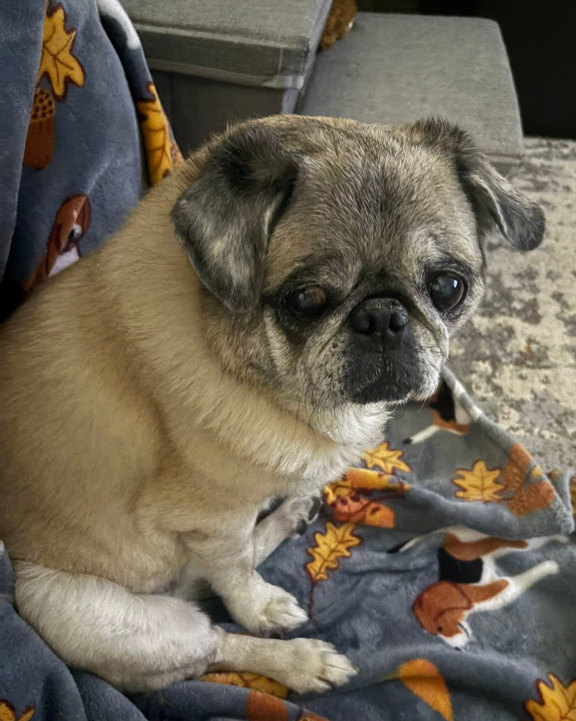 Bella Anderson Profile Photo